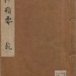 外科精要